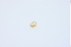 Foto von Diamant (NHMW-MIN-Ab2478)